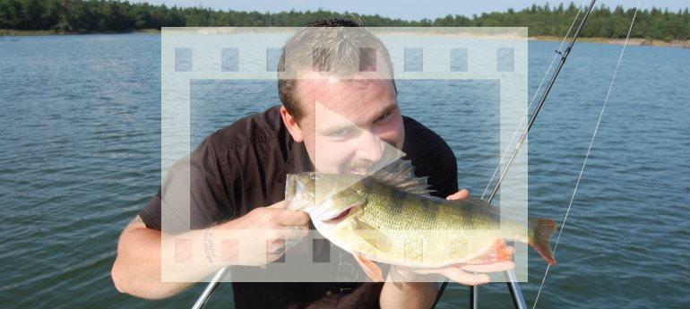 David Gross visar metoder för ett lyckat drop shot fiske efter abborre