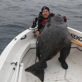 nytt pb på hälleflundra på hela 159 cm!