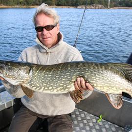 Riktigt grov trosa-gädda på 7 kg