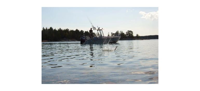 Utmanande men roligt gäddfiske