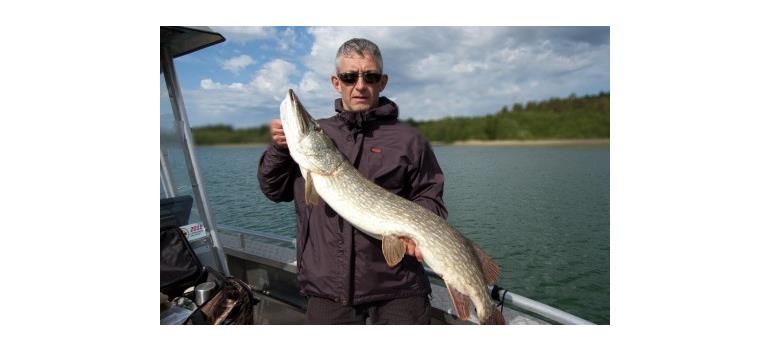 Varför fiska lax när man kan fiska gädda